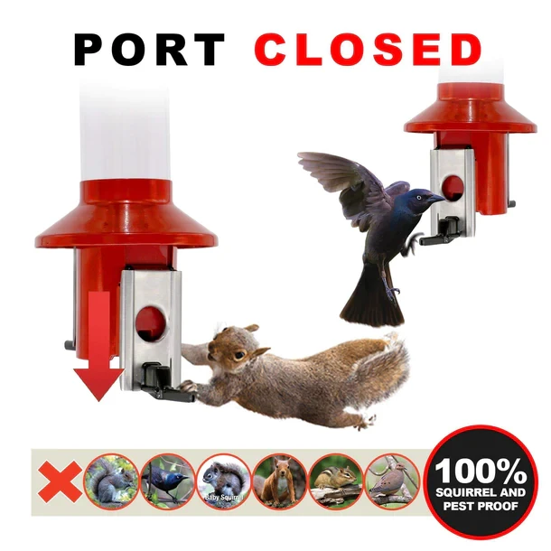 Roamwild PestOff Squirrel Proof Bird Feeder