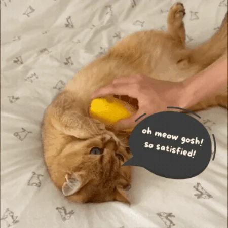 Cozyk Patented Exclusive Rechargeable Steam Pet Brush (95F-113F) for Pet Bathing