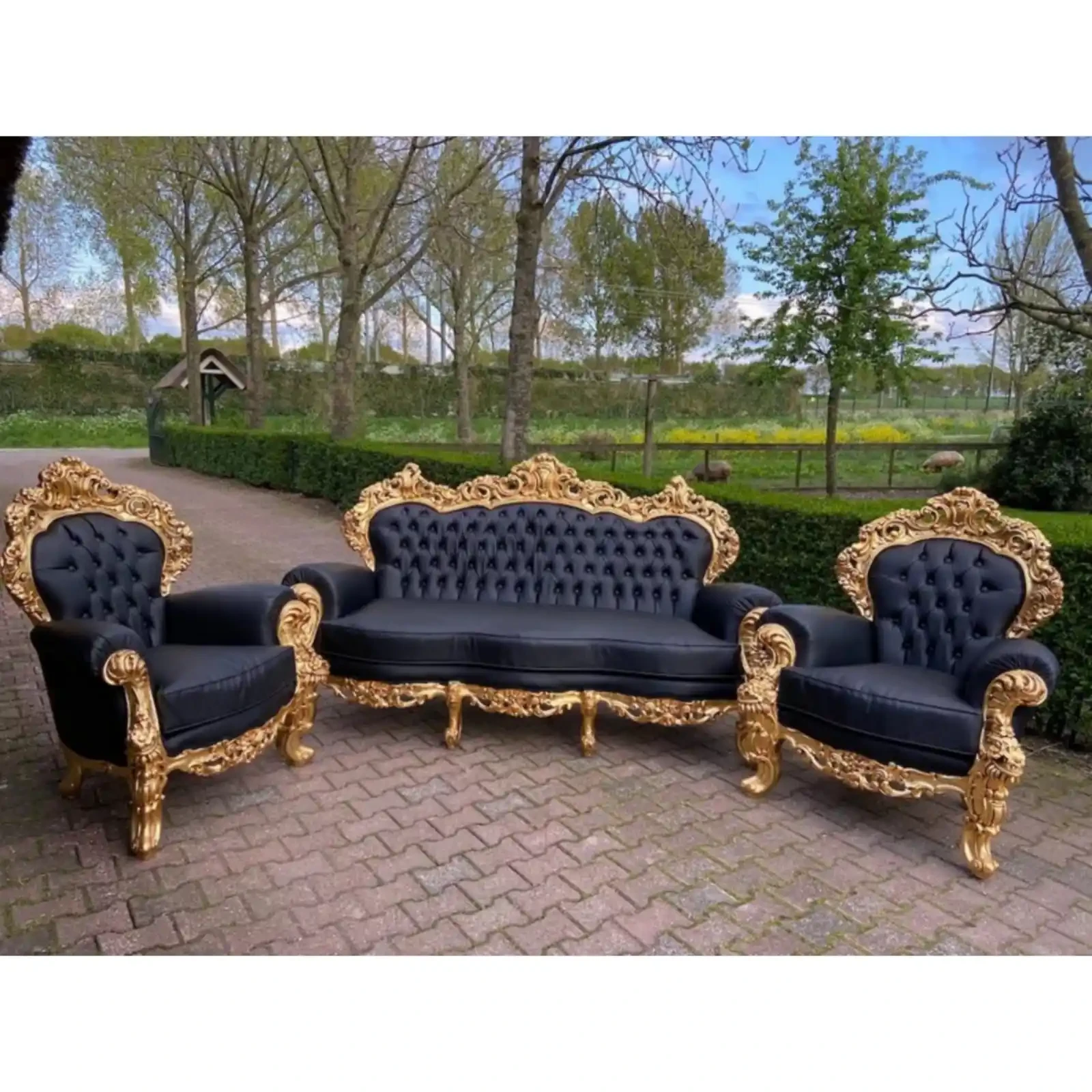 European baroque sofa set