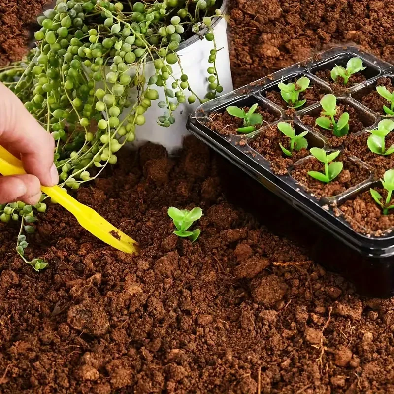 10-Pack Seedling Starter Trays - Humidity Adjustable, 12-Cell Grow Trays