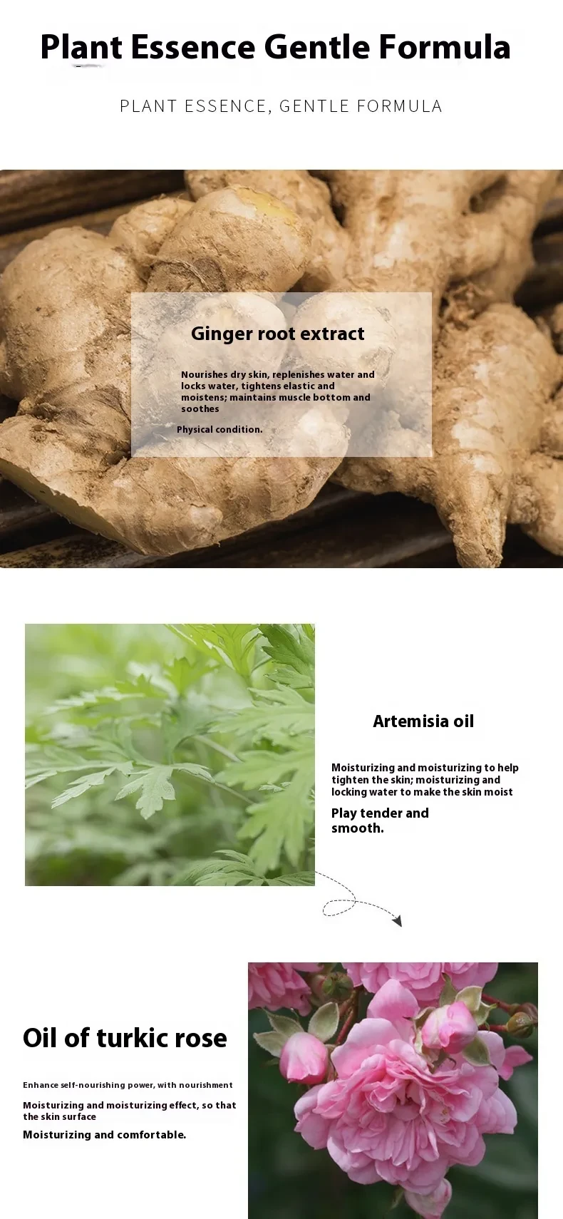 Body Massage Whole Body Essential Oil