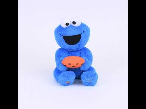 Sesame Street Animated Peek-A-Boo Cookie Monster