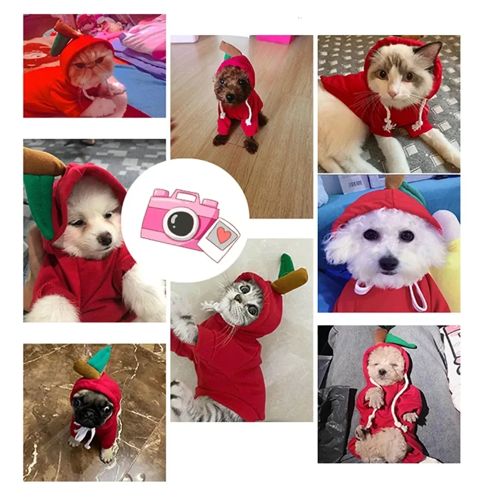 Cute Fruit Dog Clothes For Small Dogs Hoodies Winter Warm Fleece Pet Clothing Puppy Cat Costume Coat For French Chihuahua Outfit
