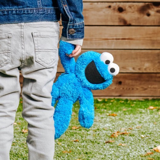 Sesame Street Cookie Monster Take-Along Buddy Soft Toy