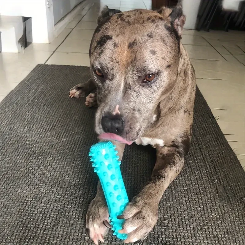 Durable Dog Toothbrush Molar Chew Stick