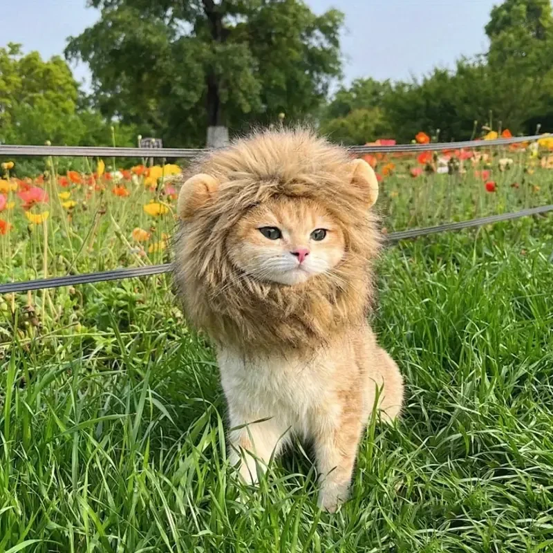 Adorable Lion Mane Costume for Cats  Durable and Comfy