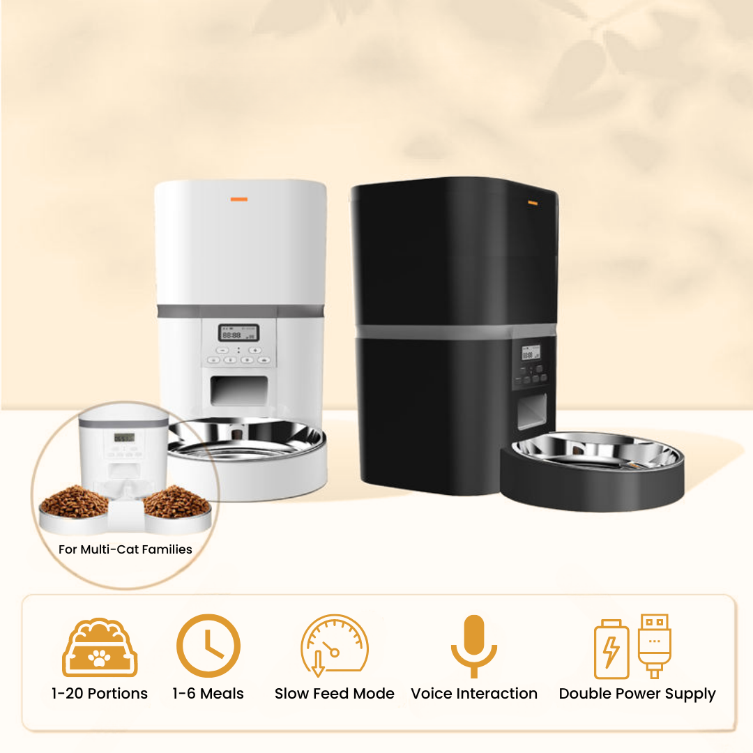 The KittyFeeder Automatic Cat Feeder