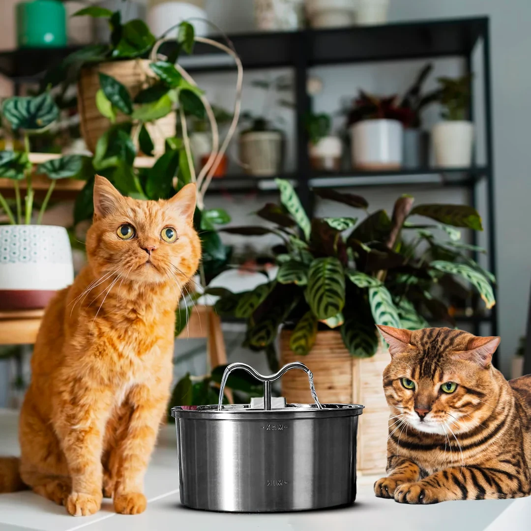 The KittySpout TwinFlow Fountain