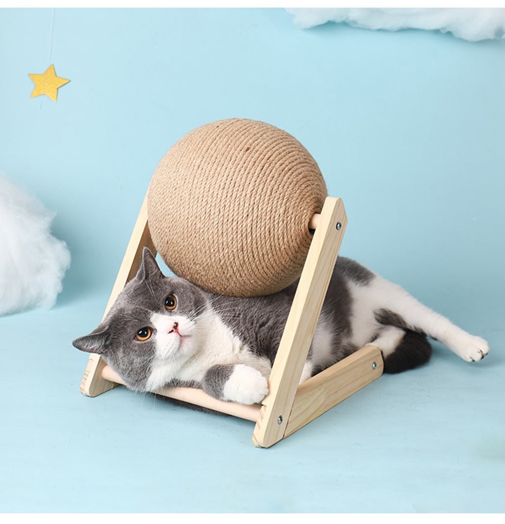 Multifunctional Cat Toy