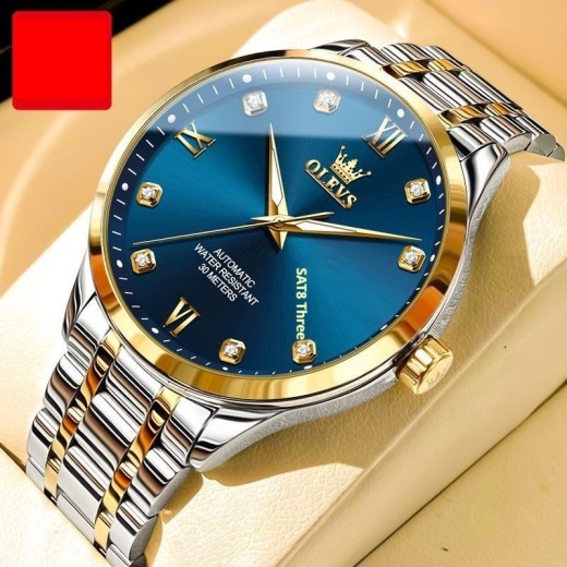 Men's Waterproof Mechanical Watch