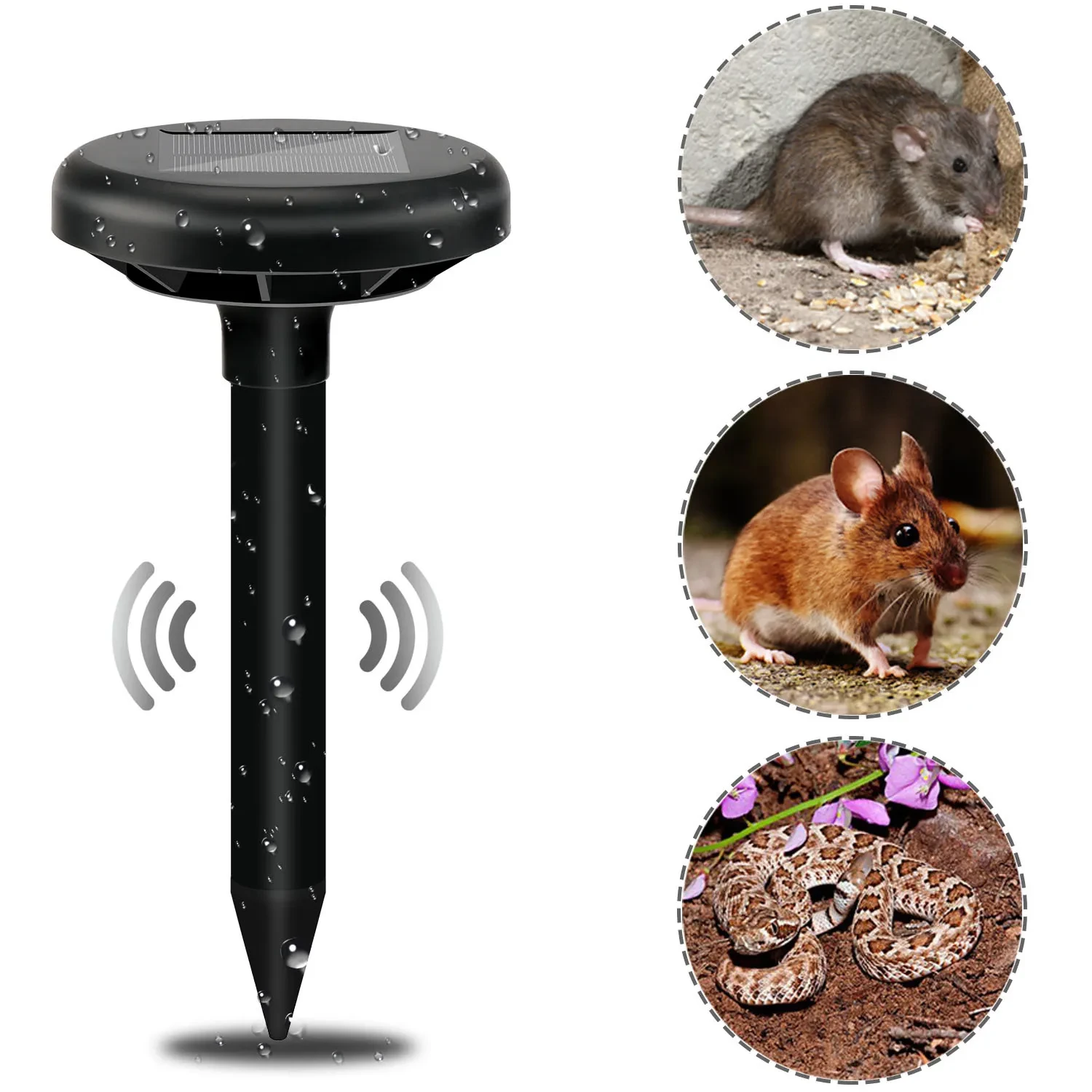 Solar ultrasonic mouse repeller