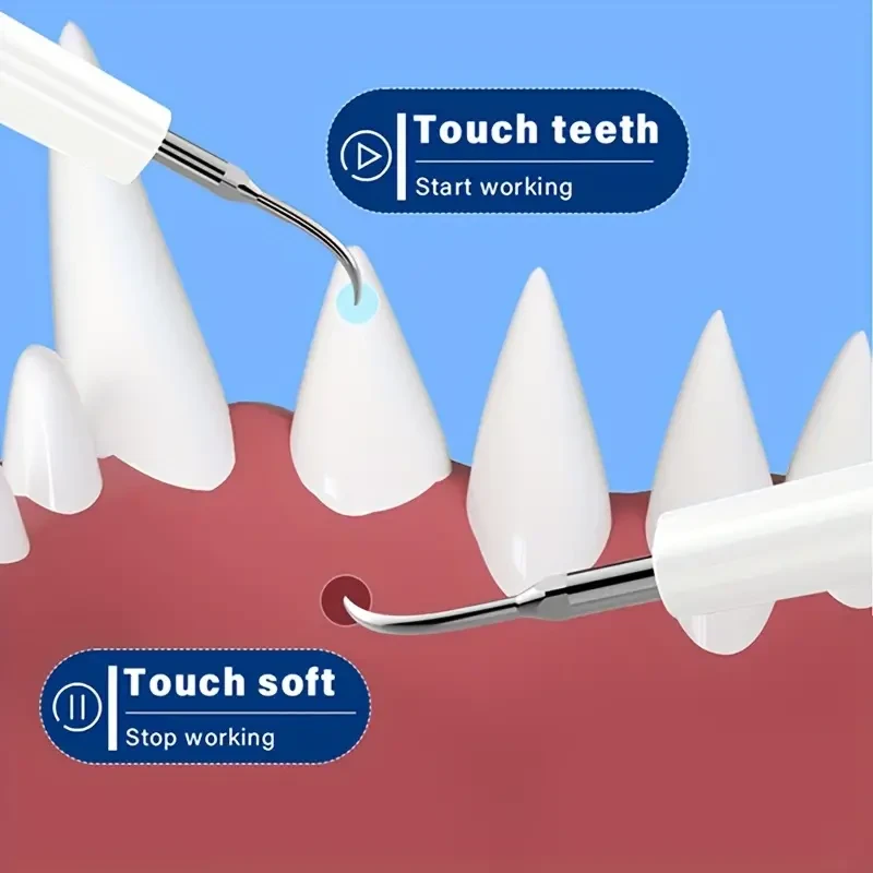 1pc Pet Electric Dental Cleaner Kit, USB Rechargeable Tooth Stain/Tartar Remover with 2 Cleaning Heads, 4 Modes, Mirror Feature, Dental Care Set for Teeth and Gum Protection