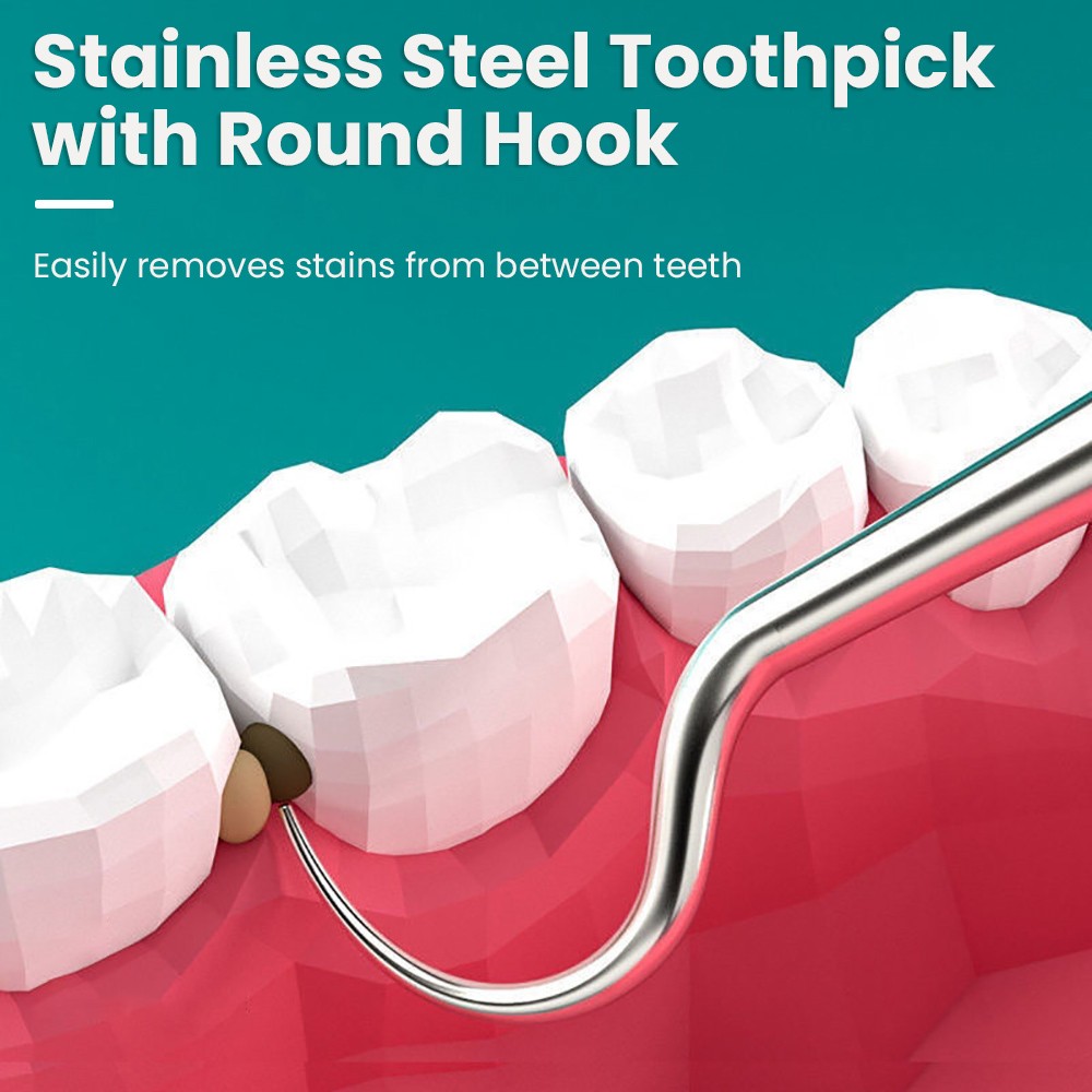 8-Piece Portable Stainless Steel Toothpick Set