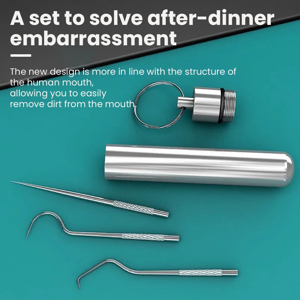 8-Piece Portable Stainless Steel Toothpick Set