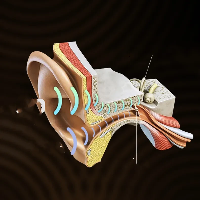 Personal Bone Conduction Bluetooth Headset