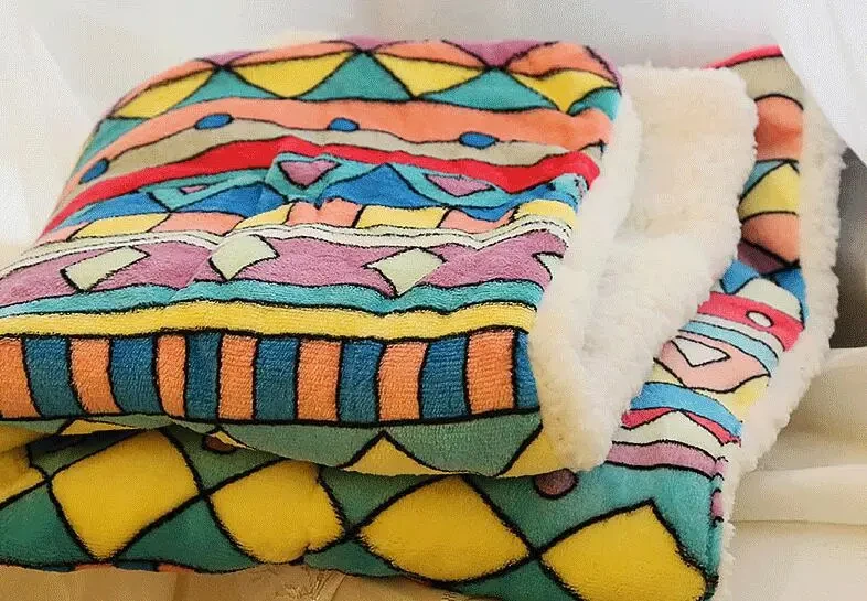 Cute Pet Blanket Mat