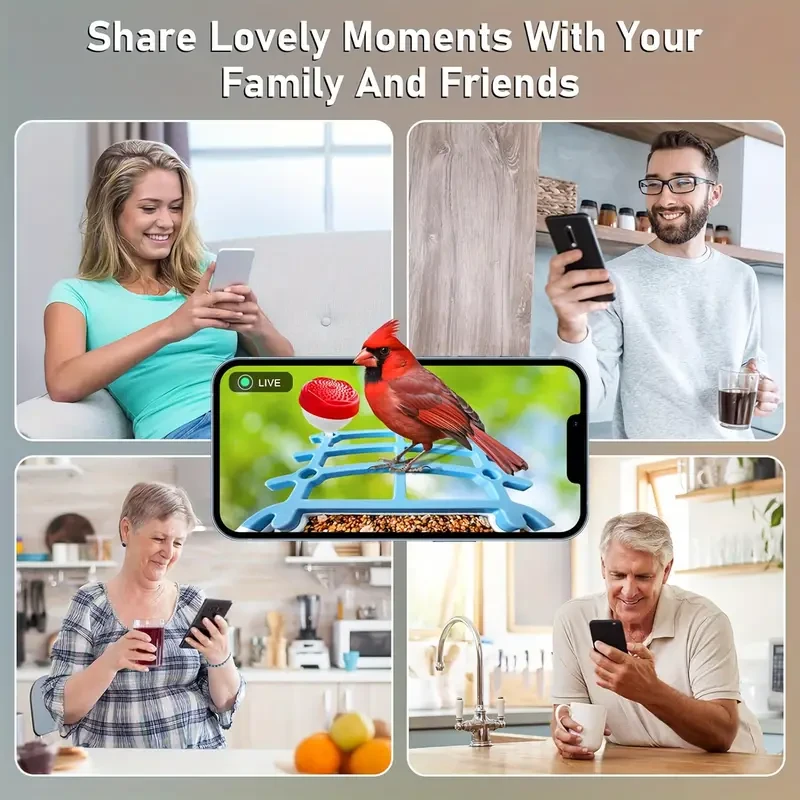 Solar Bird Feeder with Camera & AI Bird Recognition