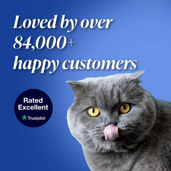 Dr Paws 8 Months Flea and Tick Free Cats