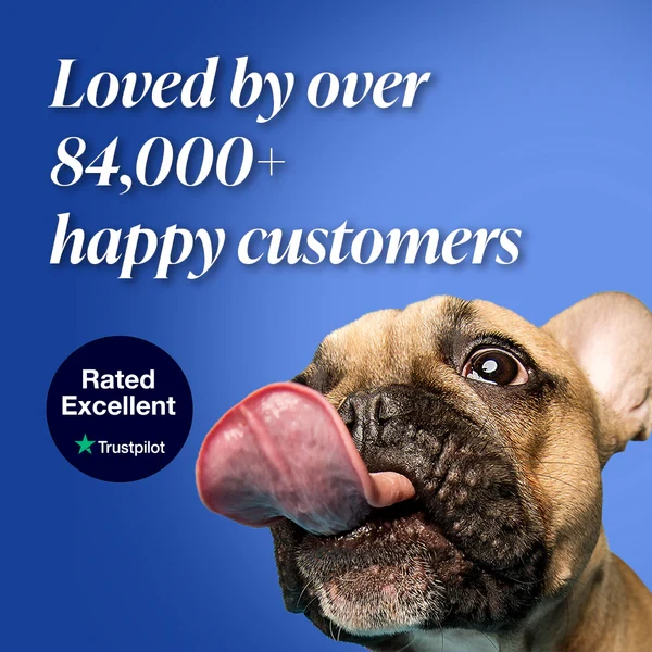 DrPaws 8 Months Flea and Tick Free Collar Dogs