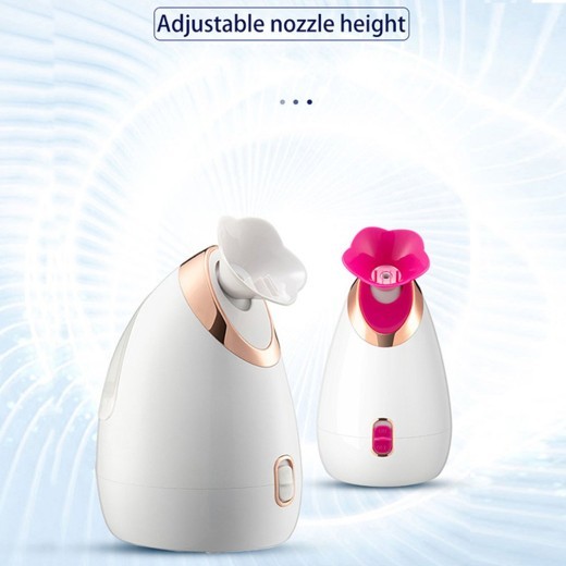 Steaming face instrument