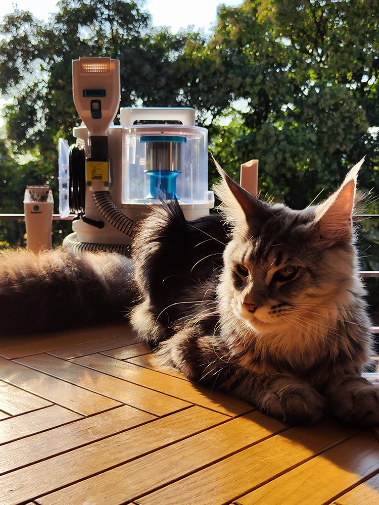 7 In 1 Multifunctional Pet Cleaning Comb Vacuum Cleaner