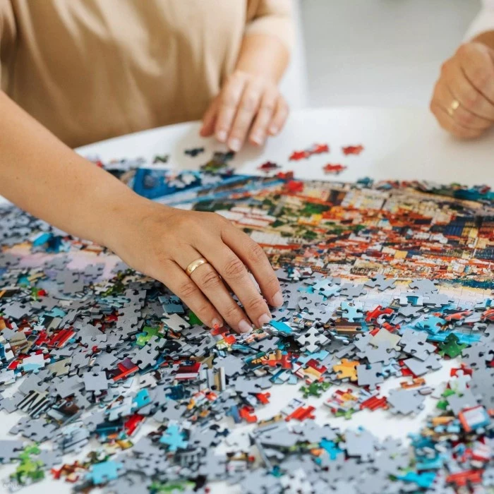 Trefl 1000 Piece Puzzle - Central Park New York