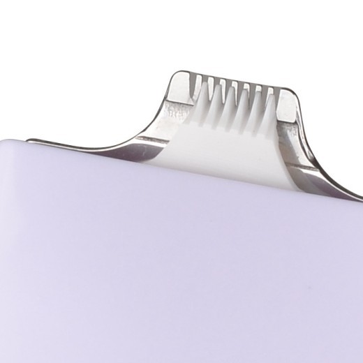 Private Parts Styling Shaver Epilator