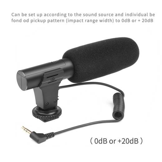 Digital Video Recording Microphone Stereo Camera Mic