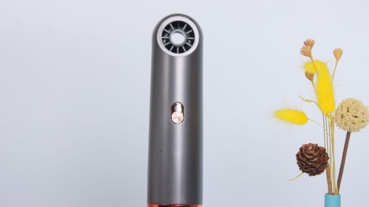 Fashion Net Celebrity Dormitory Hair Dryer Anion