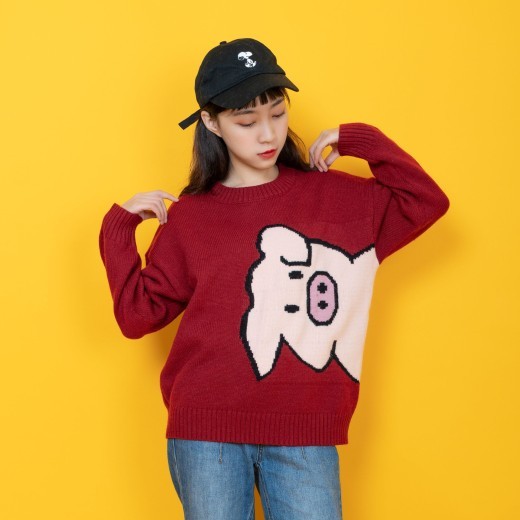 Spring New Year red pig sweater