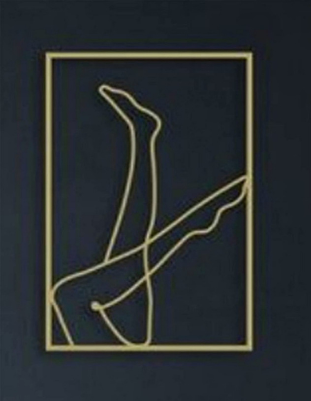 Female Line Art Acrylic Wall Decoration Body