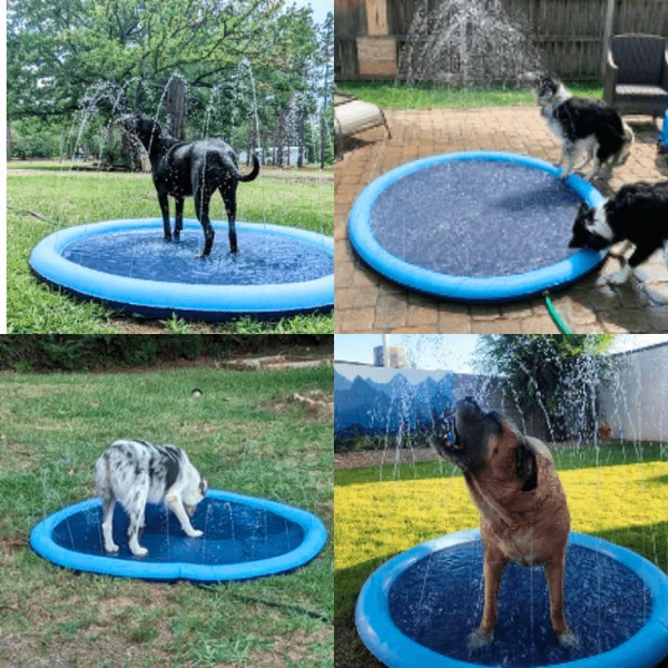 AquaPaws SplashPad
