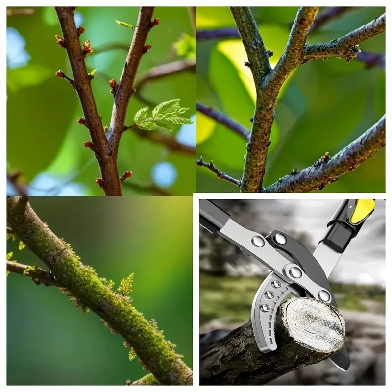 Long-Handled Pruning Shears - Lengthen Tree Shears for Thick Branches, Manual Flower and Tree Pruner