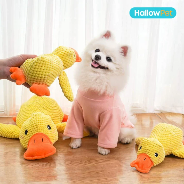 HallowPet Calming Duck Toy