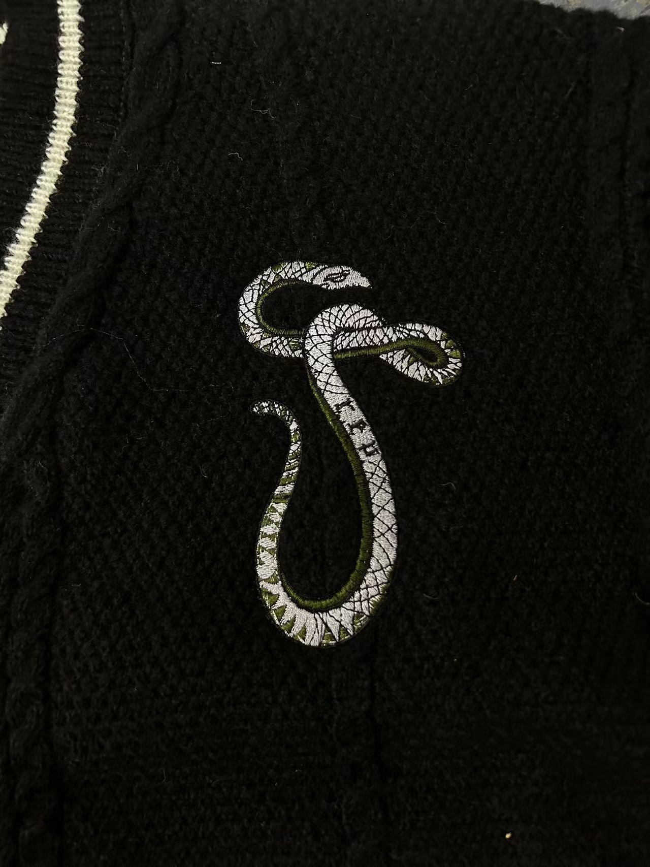 Reputation Cardigan with Snake Star Design  Taylor Inspired Embroidered V-Neck Sweater