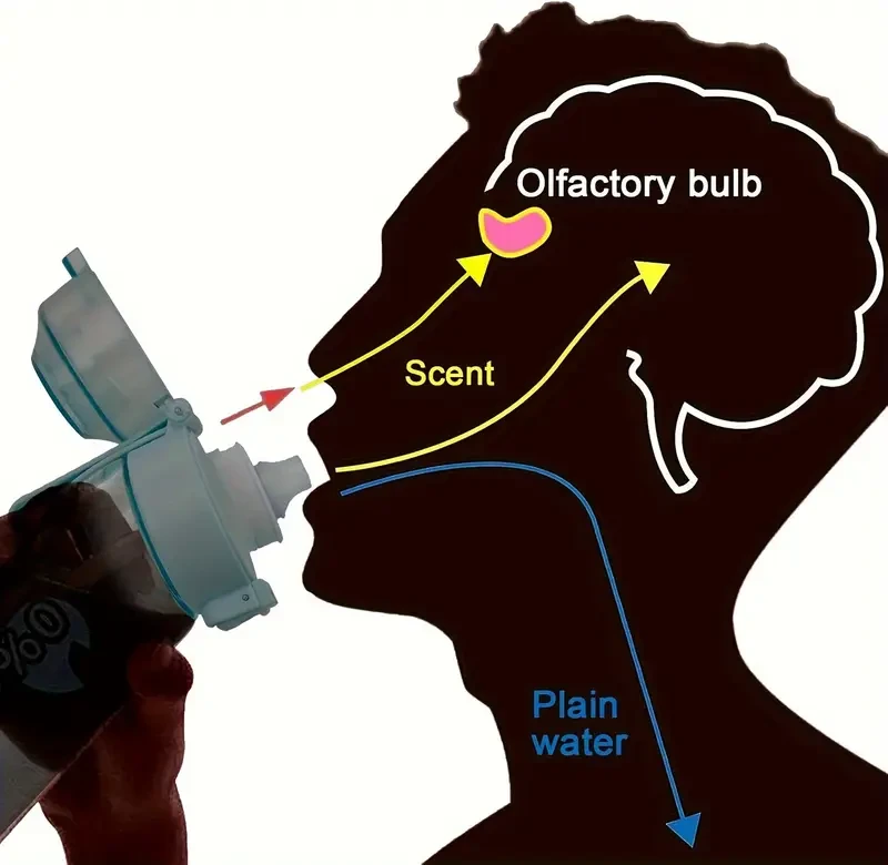 8 Aromatic Capsule Outdoor Sports Water Bottle, Set with Fruit Aroma Pod Accessories, Sports Water Bottle with Accessories, Essential for Sports, Best Selling and Well-received