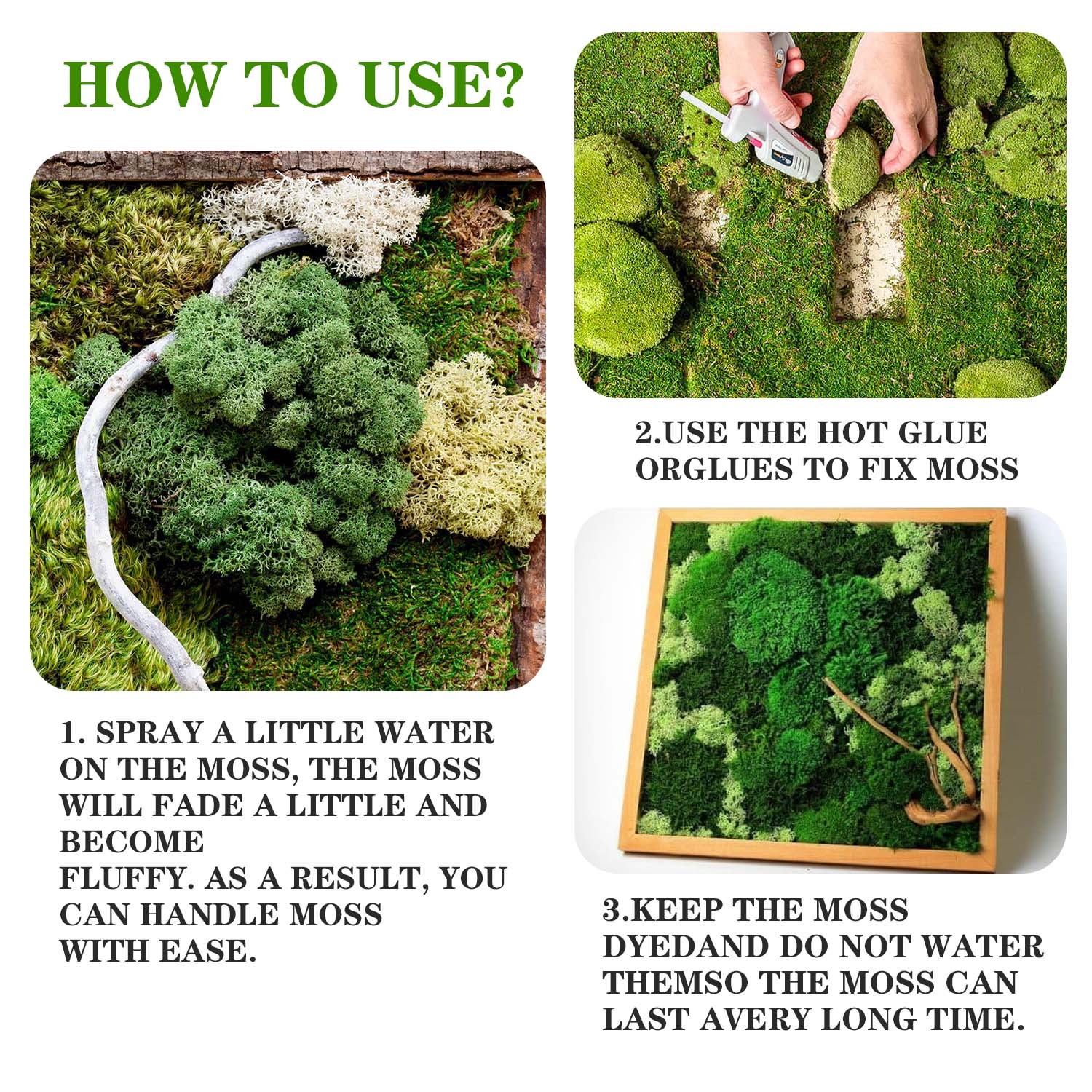 Artificial Green Plants Eternal Life Moss