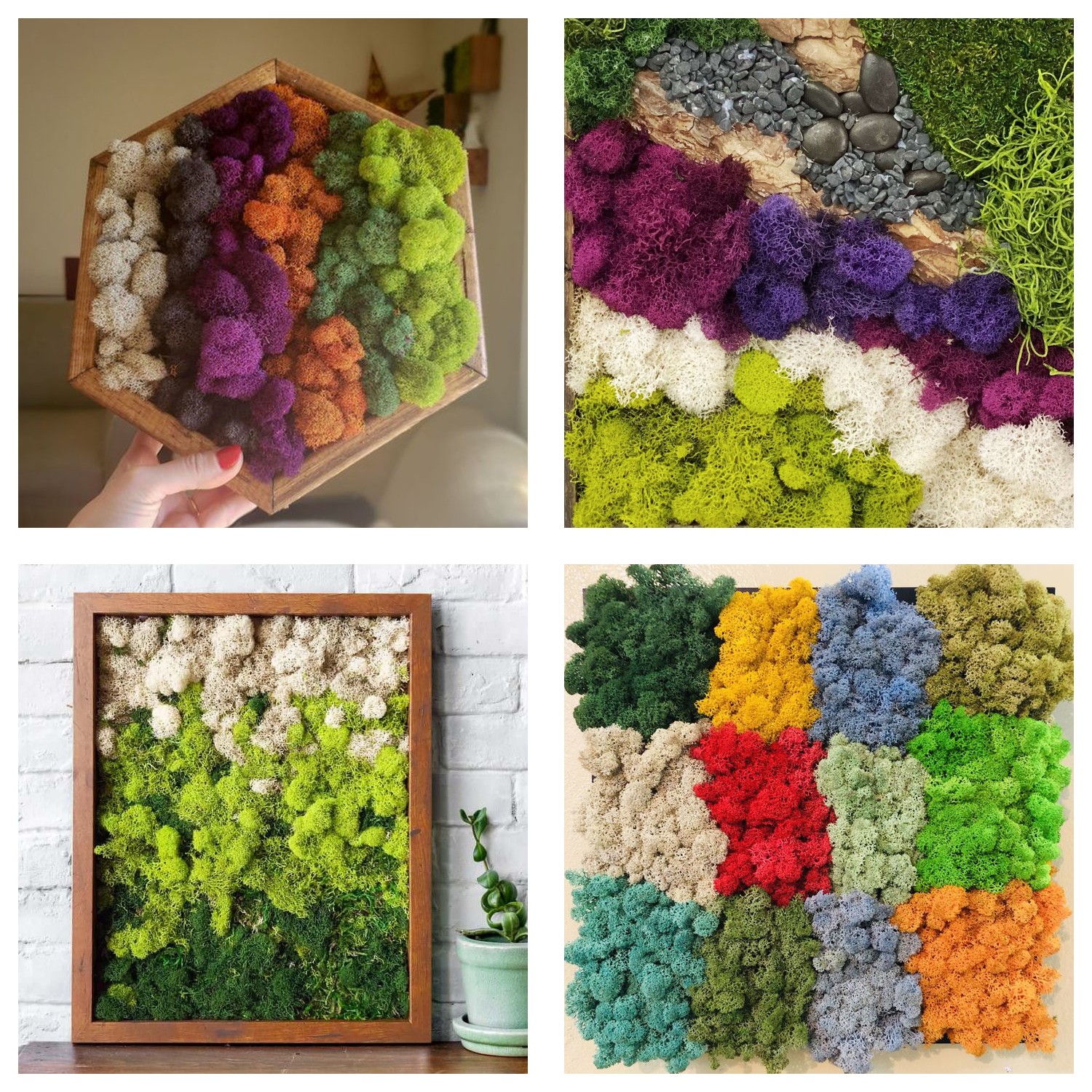 Artificial Green Plants Eternal Life Moss