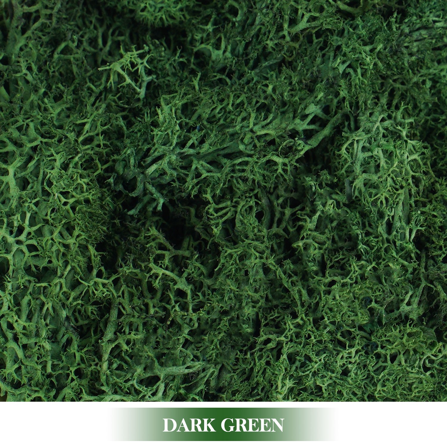 Artificial Green Plants Eternal Life Moss