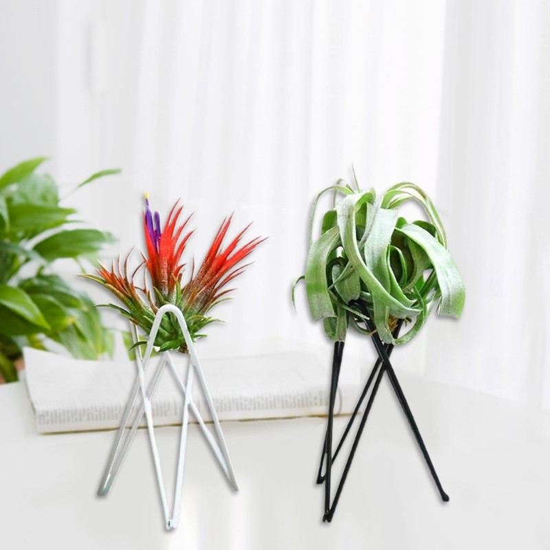 Nordic Style Air Plant Holder Metal Flower Pot Stand, Geometric Iron Tillandsia Holder, Art Display for Home & Garden
