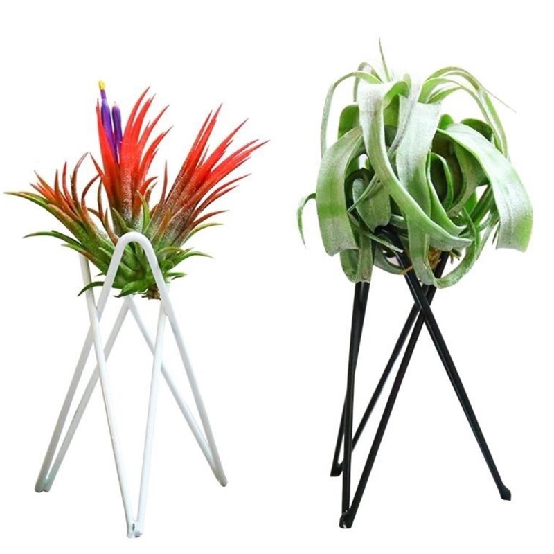 Nordic Style Air Plant Holder Metal Flower Pot Stand, Geometric Iron Tillandsia Holder, Art Display for Home & Garden