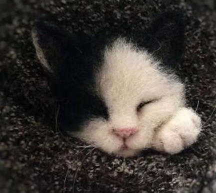 Wool Felt Poke Handmade DIY Material Kit Wool Needle Non Finished Cat Fox Raccoon Animal Brooch Plush Doll Women Bag Pendant