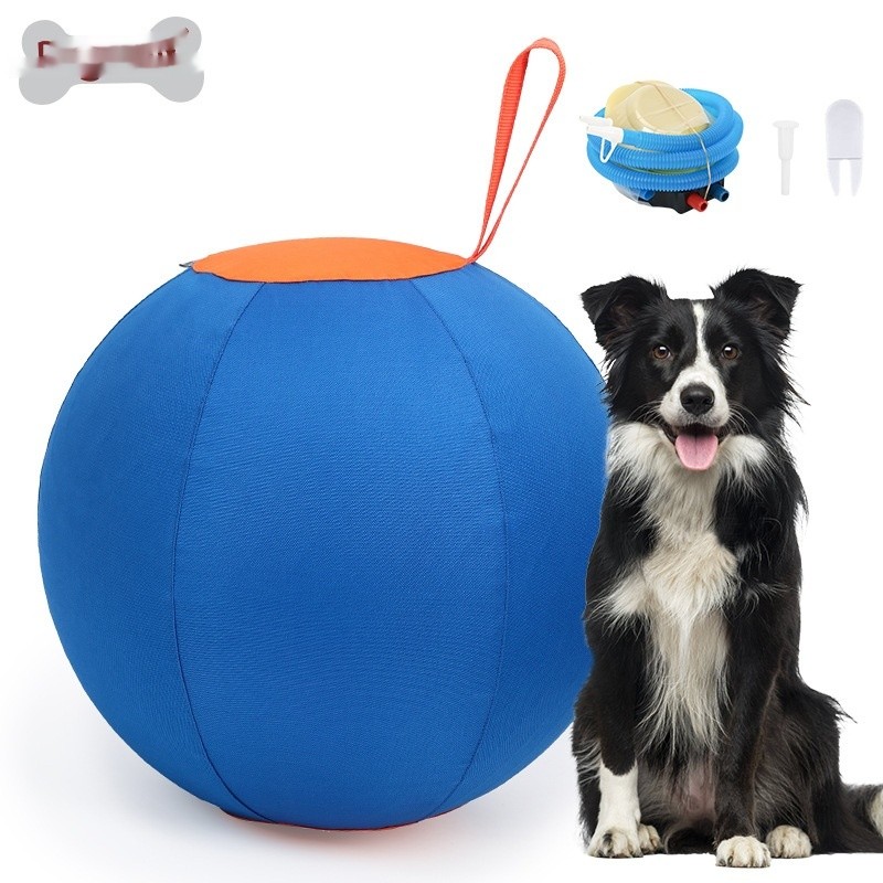 Funny Shiba Inu Corgi Self-Hi Pet Training Ball