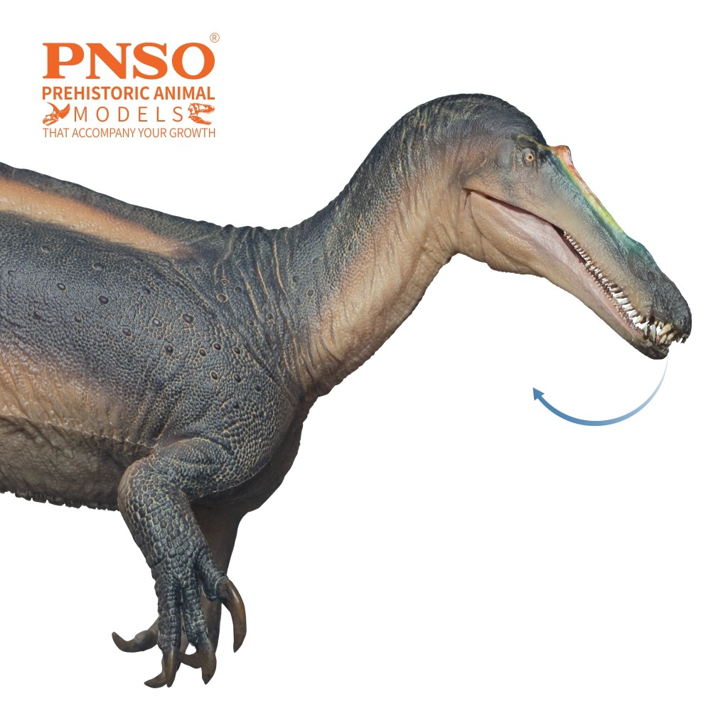 PNSO Prehistoric Dinosaur Model  67 ThaBo the Suchomimus