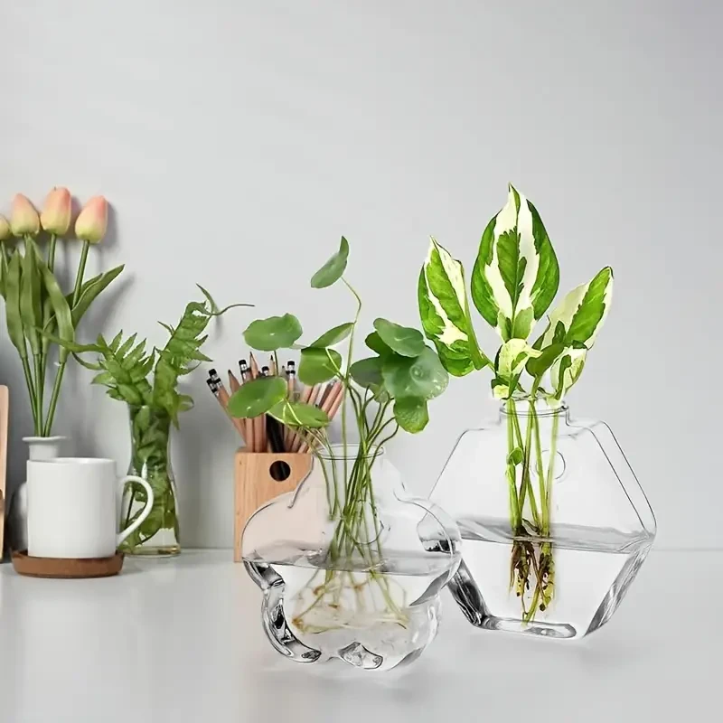 Set of 6 Glass Planters Wall Hanging Terrarium