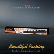 HORUSDY Female Star Socket Set