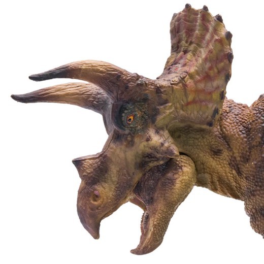 Creative Triceratops Dolly Scientific Art Model