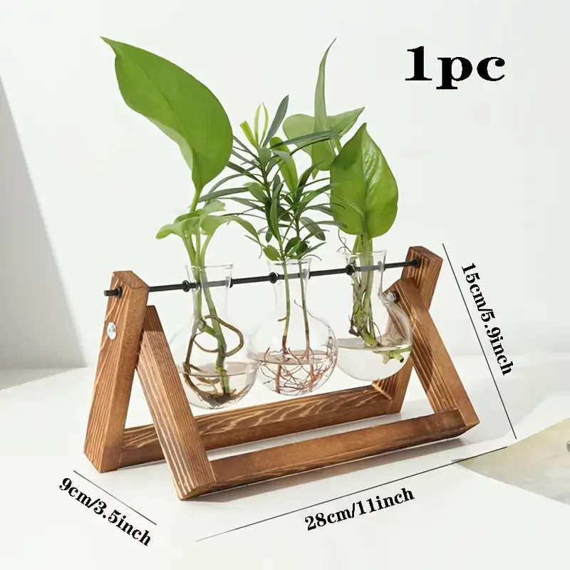 Transparent Glass Bulb Vase with Wooden Stand