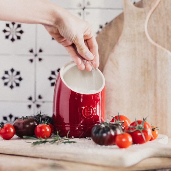 The Salt Pig - Clay - Emile Henry