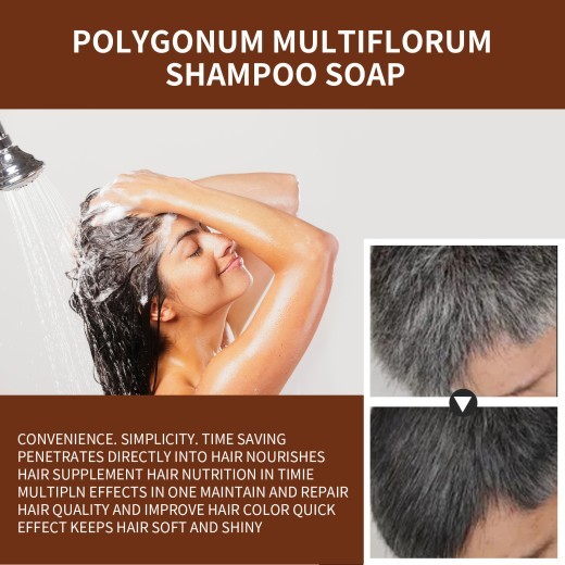 Shampoo Soap Polygonum Multiflorum Repair Natural